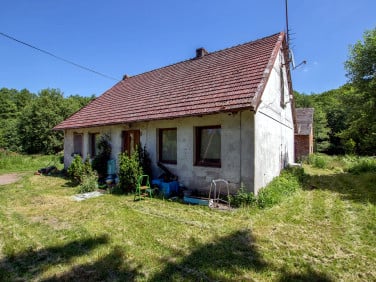 Dom Polanów sprzedaż