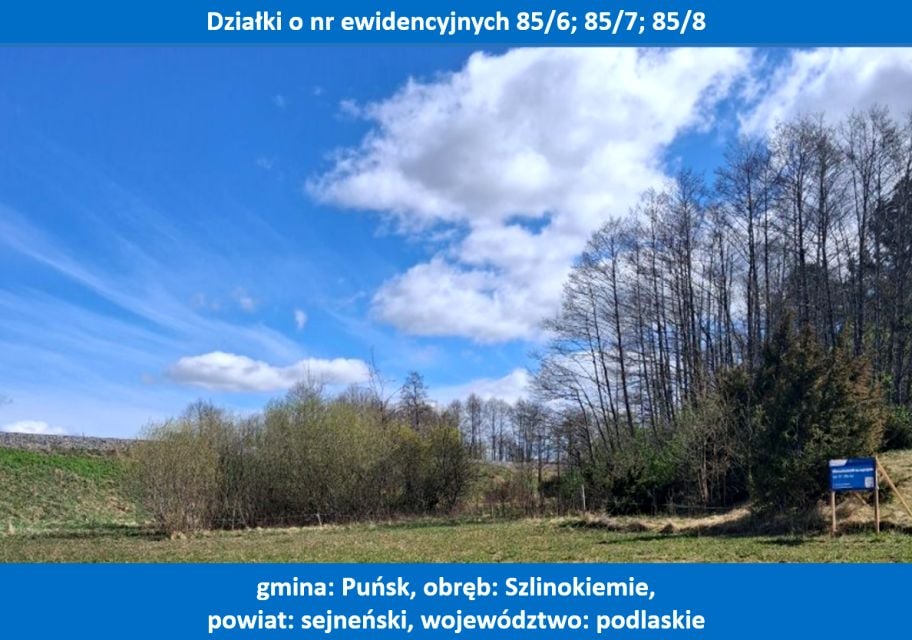 Zdjęcie 3