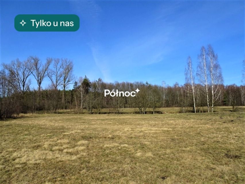 Działka Cieleśnica
