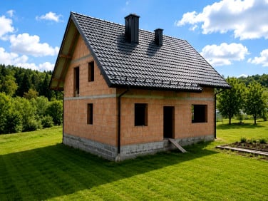 Dom Czchów sprzedaż