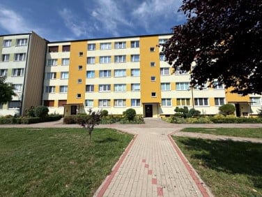 Mieszkanie Koło