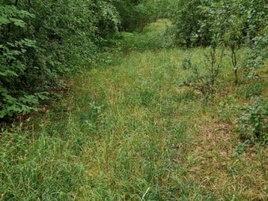 Działka inwestycyjna Wągrowiec