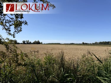 Działka inna Długie Pole