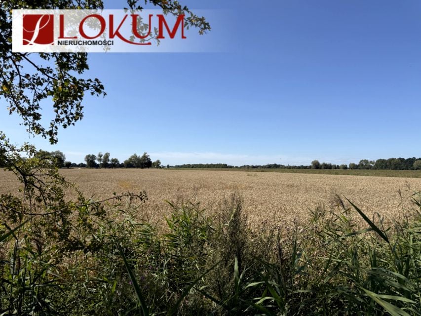 Działka inna Długie Pole