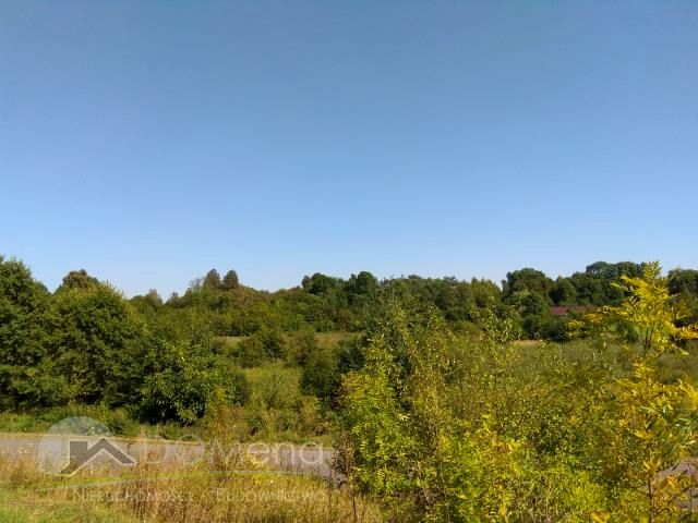 Zdjęcie 3