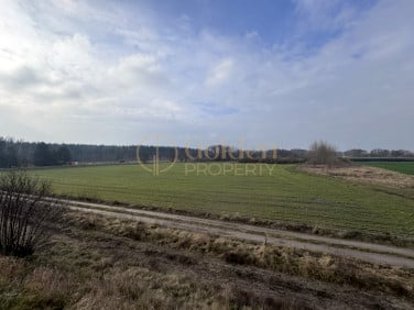 Działka budowlana Ryjewo