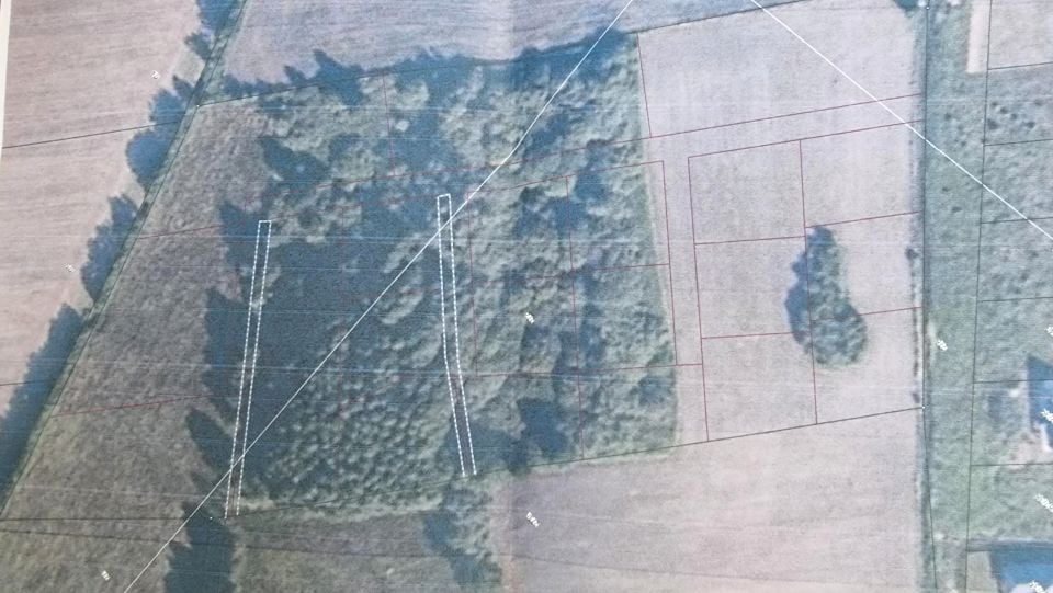Działka rolna Dziuplina