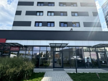 Lokal Warszawa