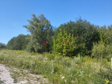 Działka budowlana Gołków