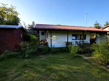 Działka przy lesie