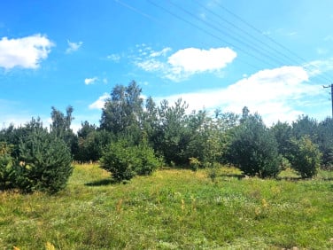 Działka budowlana Sokolniki