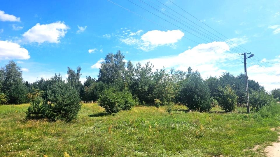 Działka budowlana Sokolniki