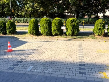 Lokal Gliwice