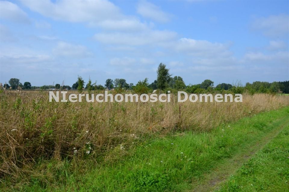 Działka budowlano-rolna Wiaderno