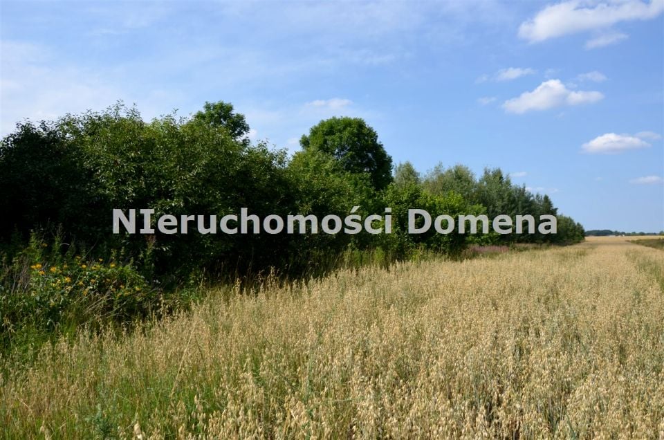 Zdjęcie 2