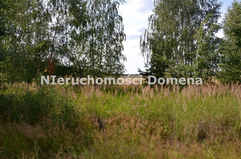 Zdjęcie 2