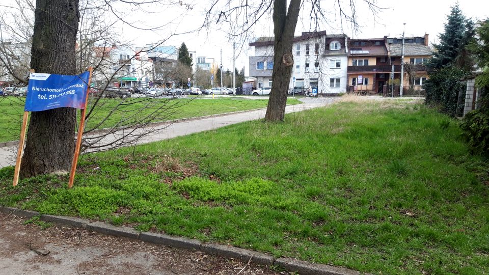 Zdjęcie 3