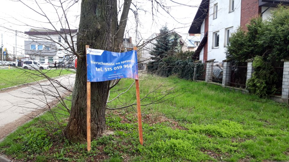 Zdjęcie 2