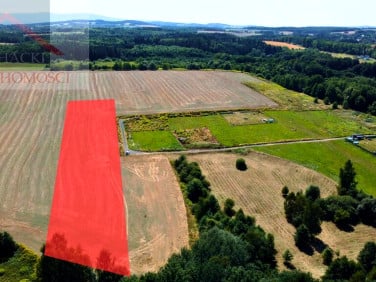 Działka budowlana Olszyna
