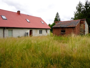Dom Świecie