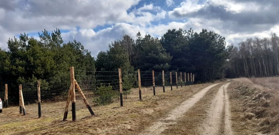 Działka budowlana Wymysłowo