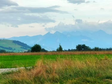 Działka inna Groń