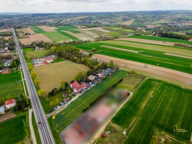 Działka przy lesie