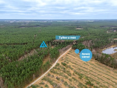 Działka Konarzyny