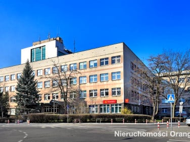 Lokal Kraków