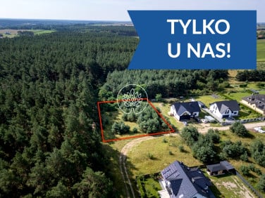 Działka przy lesie