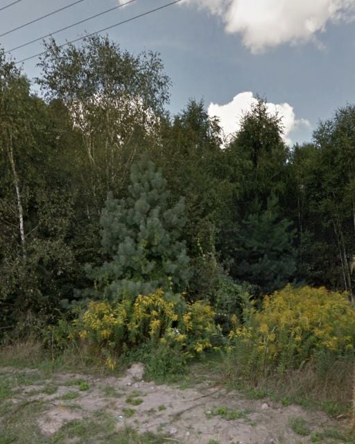 Działka budowlana Borchówka