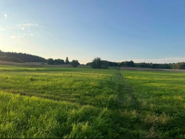 Działka rolno-leśna sprzedam