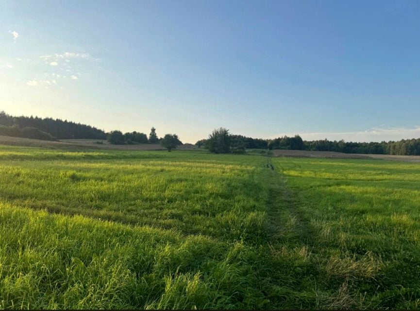 Działka rolno-leśna sprzedam