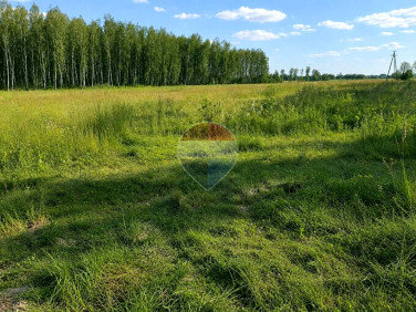 Działka Wistka