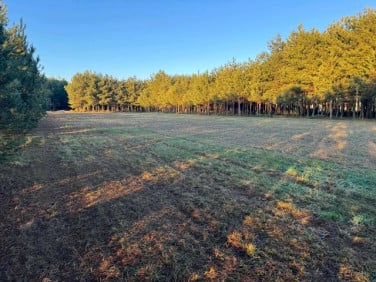 Działka Zimnica