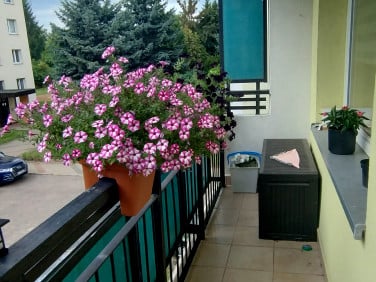 Mieszkanie Białystok