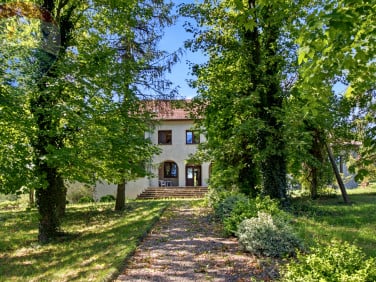 Lokal Boża Wola