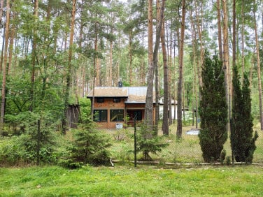 Dom Dębniak