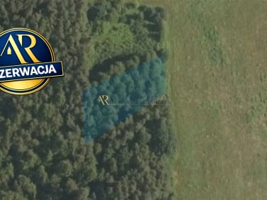 Działka leśna Wola Radłowska sprzedam