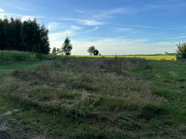Działka rekreacyjna Skoki