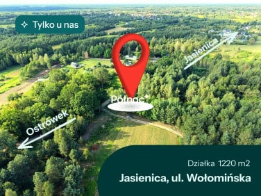 Działka Jasienica