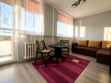 Pokój Toruń