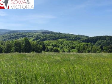 Działka budowlana Michałkowa