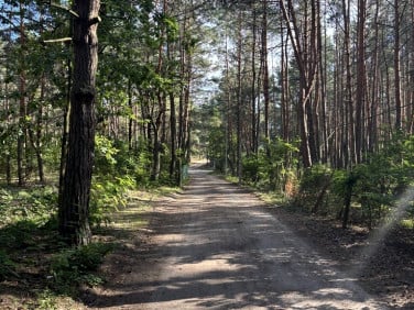 Działka budowlana Łosie