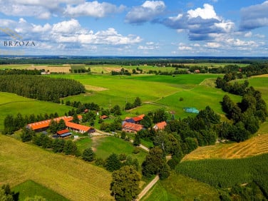 Dom Jabłonka