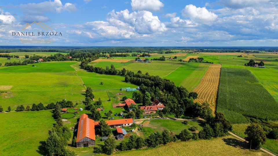 Zdjęcie 3