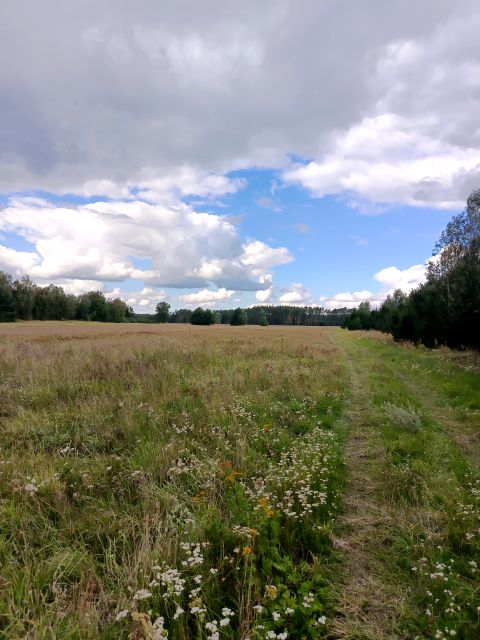 Zdjęcie 3