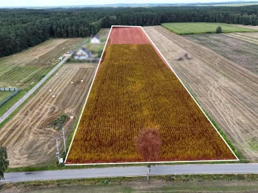 Działka usługowa Kaczory