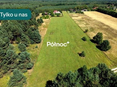 Działka przy lesie