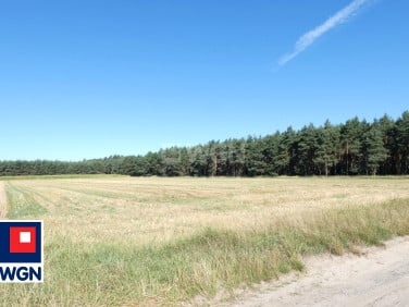 Działka budowlana Sieroszewice